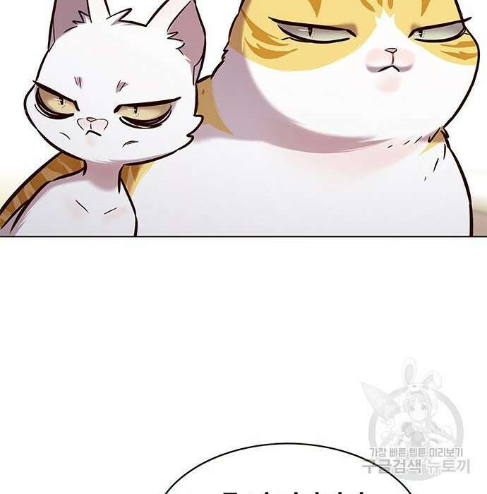 일렉시드 231화 19