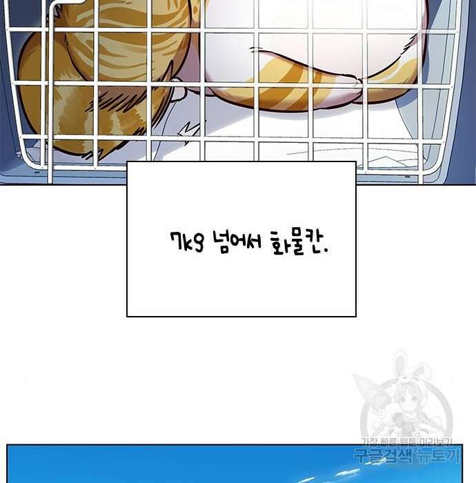 일렉시드 231화 50