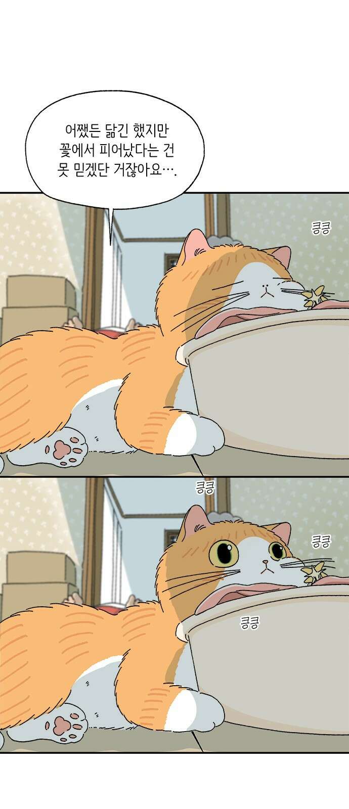 고양이 타타 5화 1
