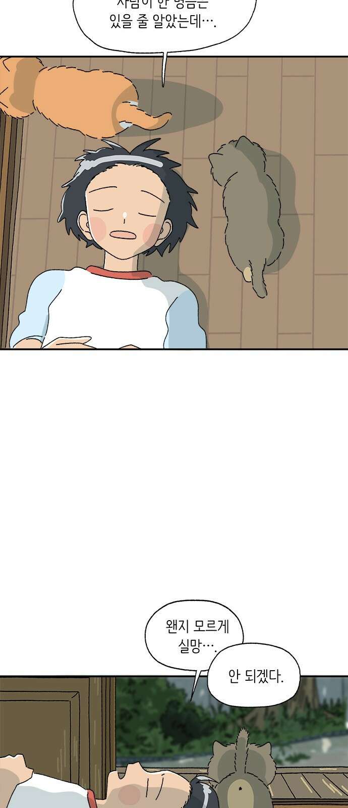 고양이 타타 5화 5