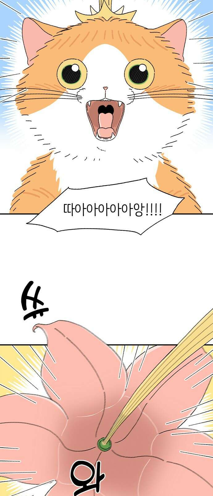 고양이 타타 5화 21