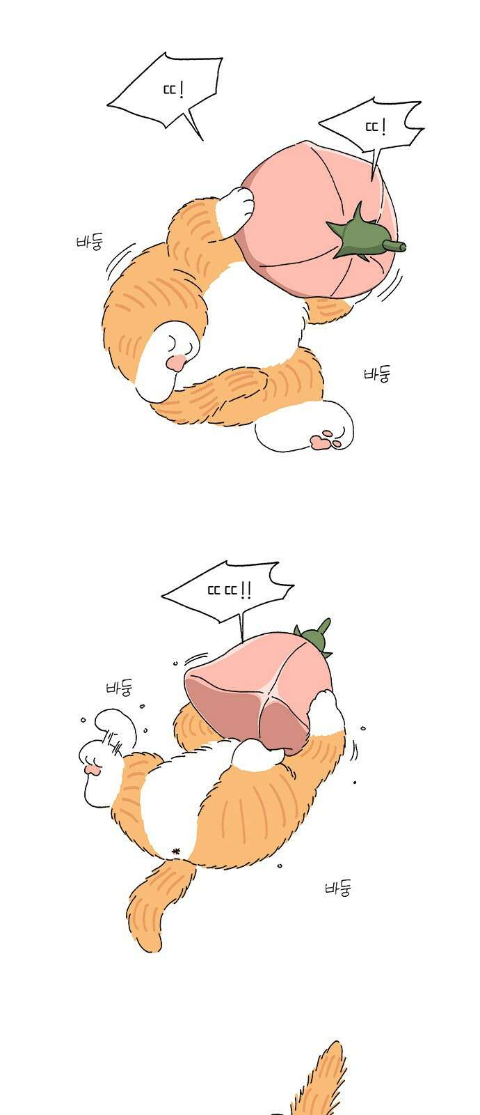고양이 타타 5화 23