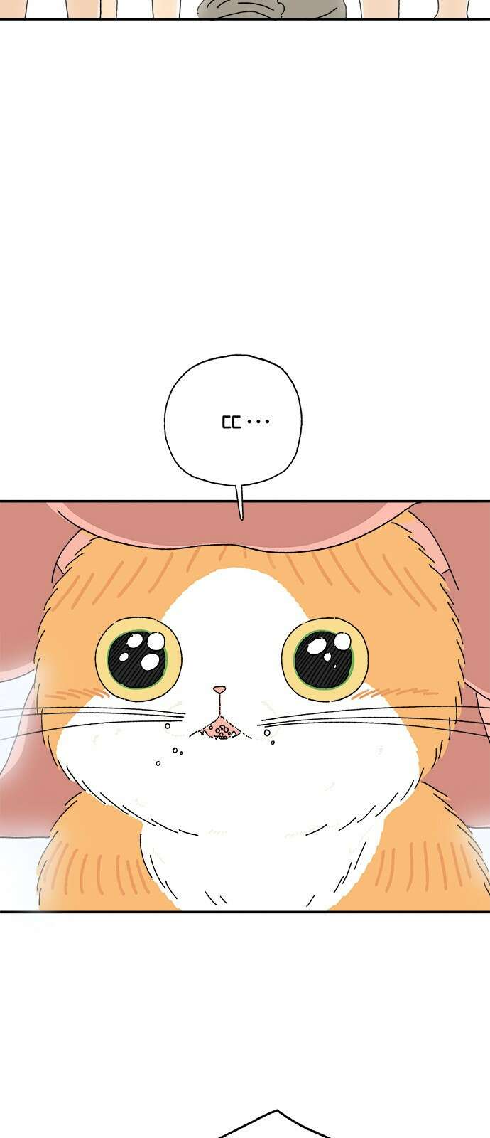 고양이 타타 5화 46
