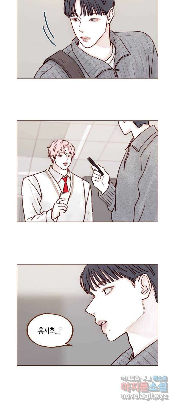 홍시는 날 좋아해! 228화 : 웃어. 웃어. 웃어. 웃어 12