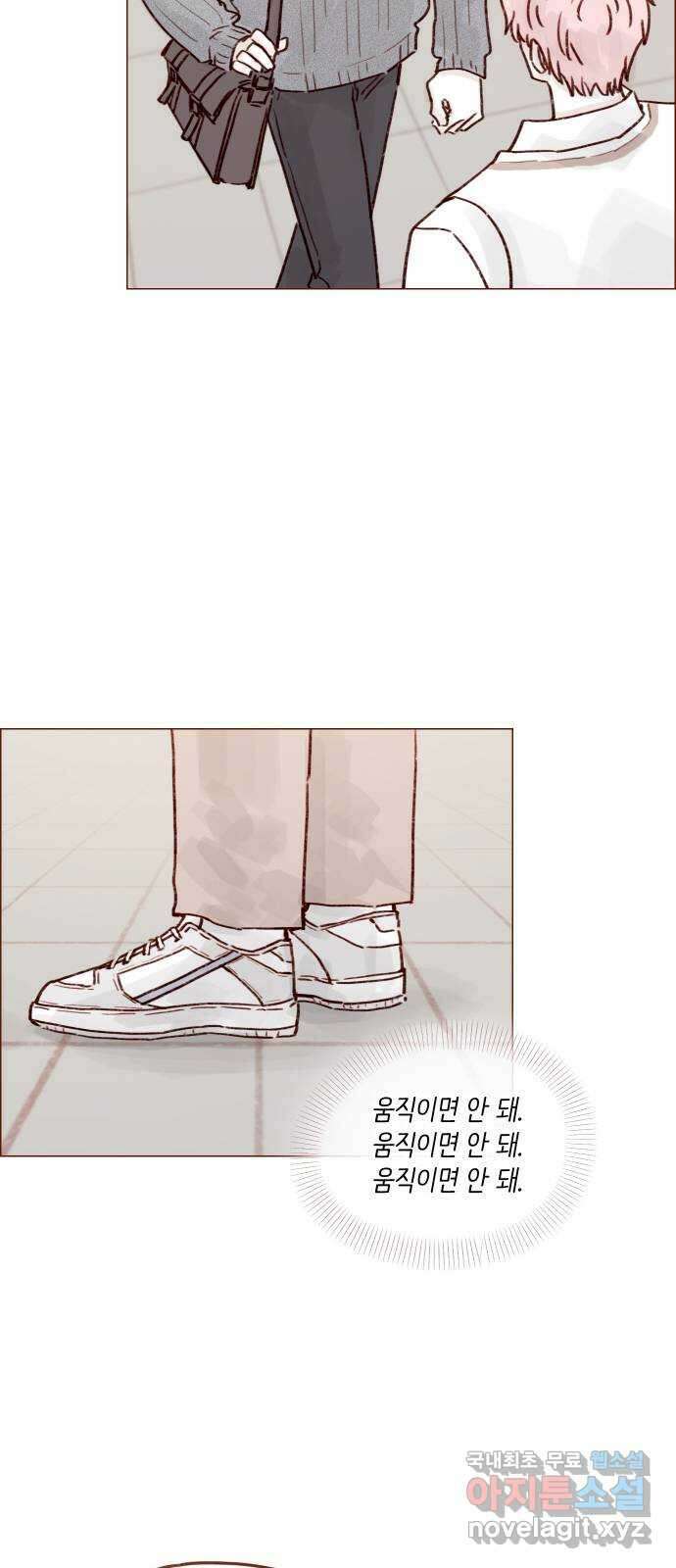 홍시는 날 좋아해! 228화 : 웃어. 웃어. 웃어. 웃어 17