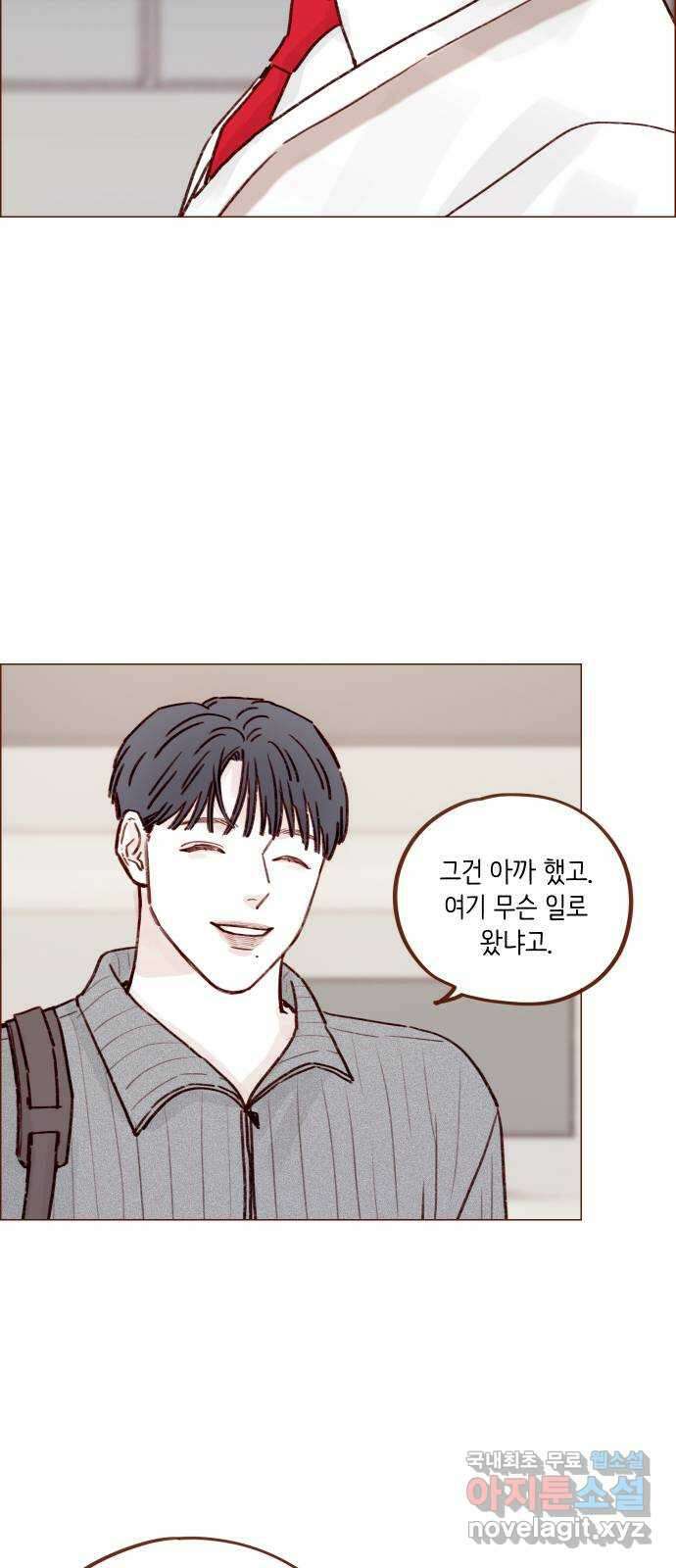 홍시는 날 좋아해! 228화 : 웃어. 웃어. 웃어. 웃어 20