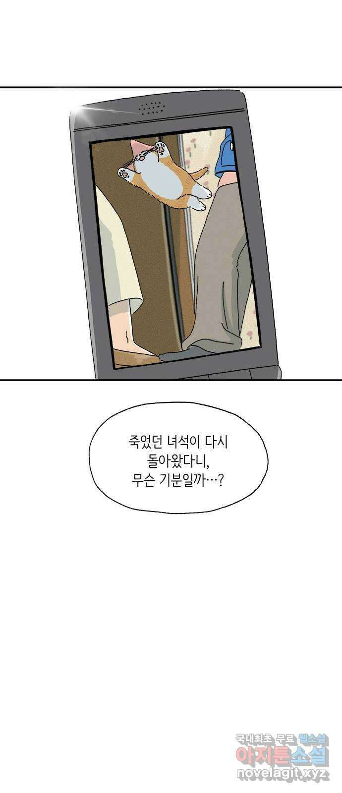 고양이 타타 6화 4