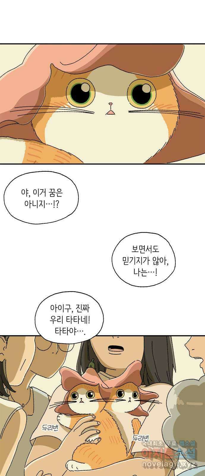 고양이 타타 6화 45