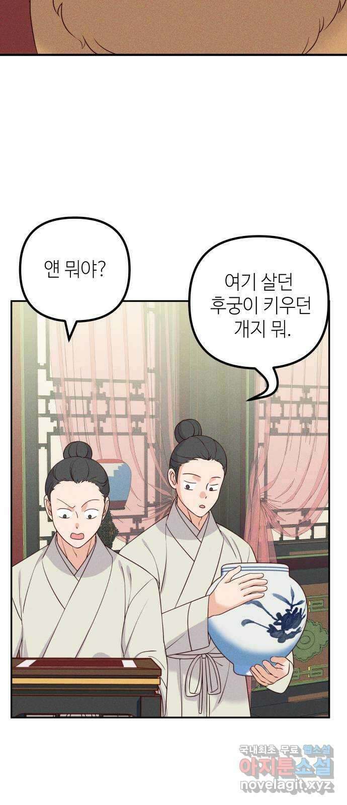 자취방 신선들 70. 작은 개 이야기 3