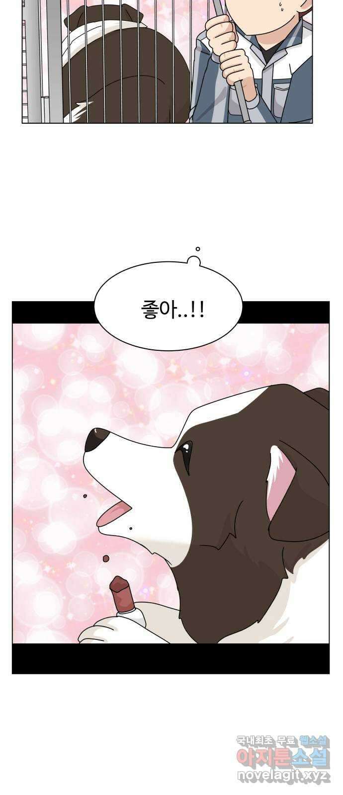 개를 낳았다 시즌2 136화 2