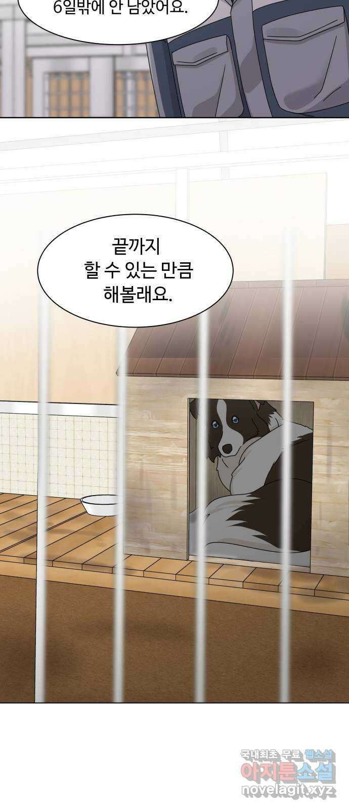 개를 낳았다 시즌2 136화 10