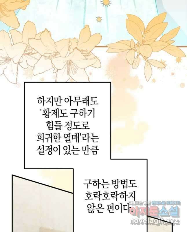 하필이면 까마귀가 되어버렸다 74화 45