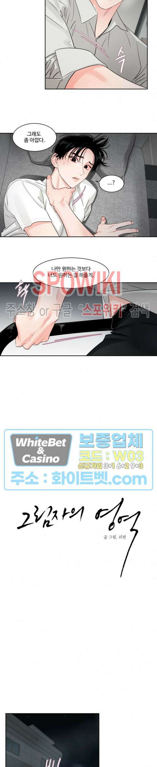 그림자의 영역 24화 3