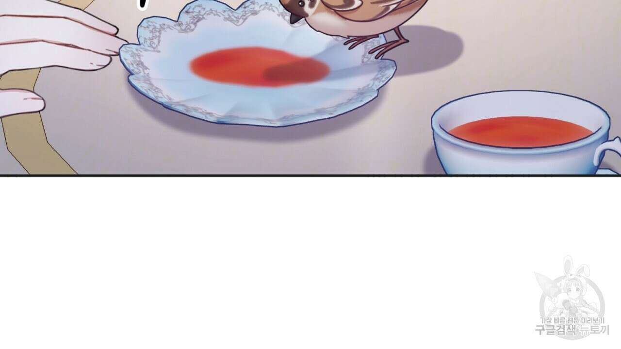공작님의 곰인형 39화 24