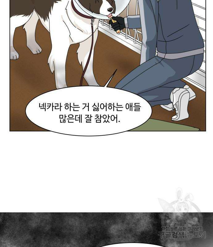개를 낳았다 시즌2 139화 16