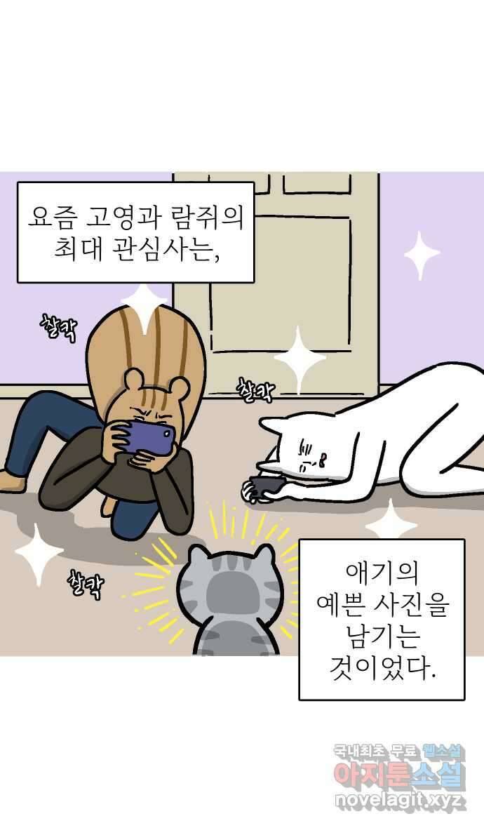 애옹식당 65화 악어 씨, 애기를 탐내다 2