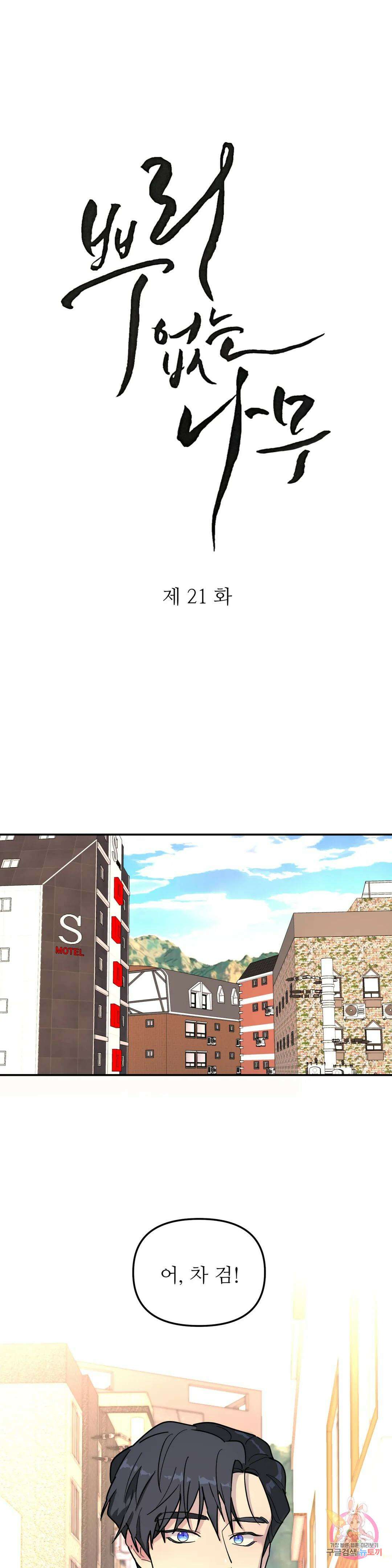 뿌리 없는 나무 21화 1