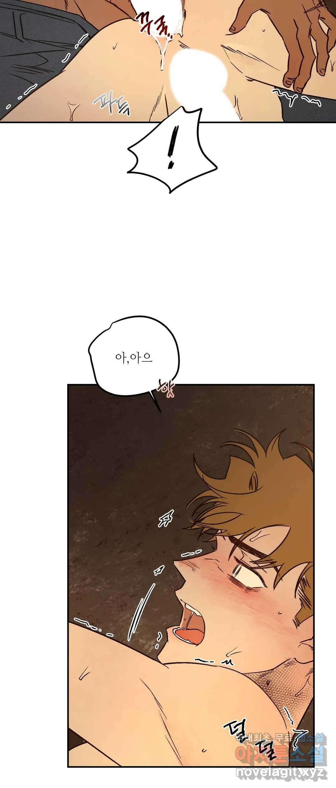 펌블 41화 11