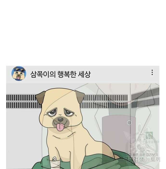 개를 낳았다 시즌2 147화 27