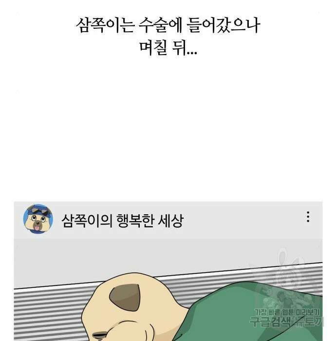 개를 낳았다 시즌2 147화 29