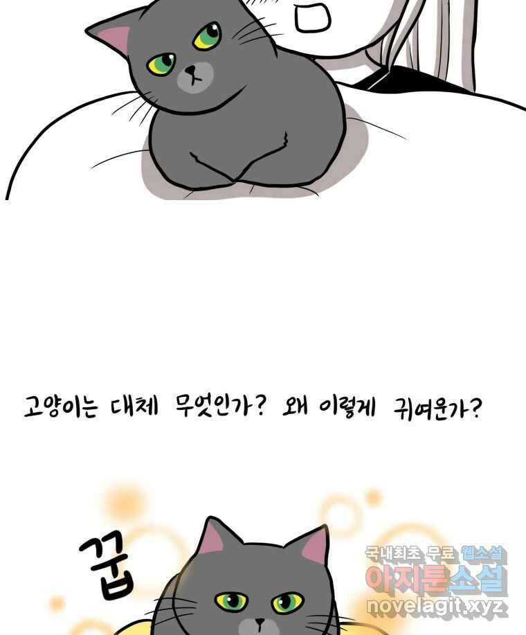 재활용 머학생 7화 공부방해 갑 고양이 4