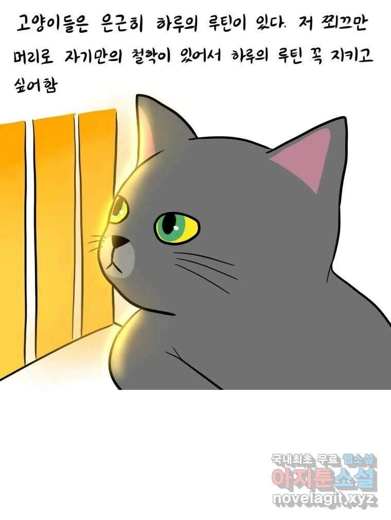 재활용 머학생 7화 공부방해 갑 고양이 11