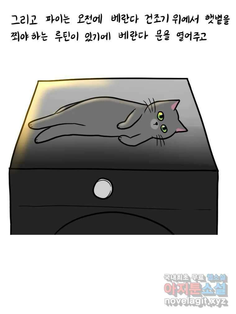 재활용 머학생 7화 공부방해 갑 고양이 20