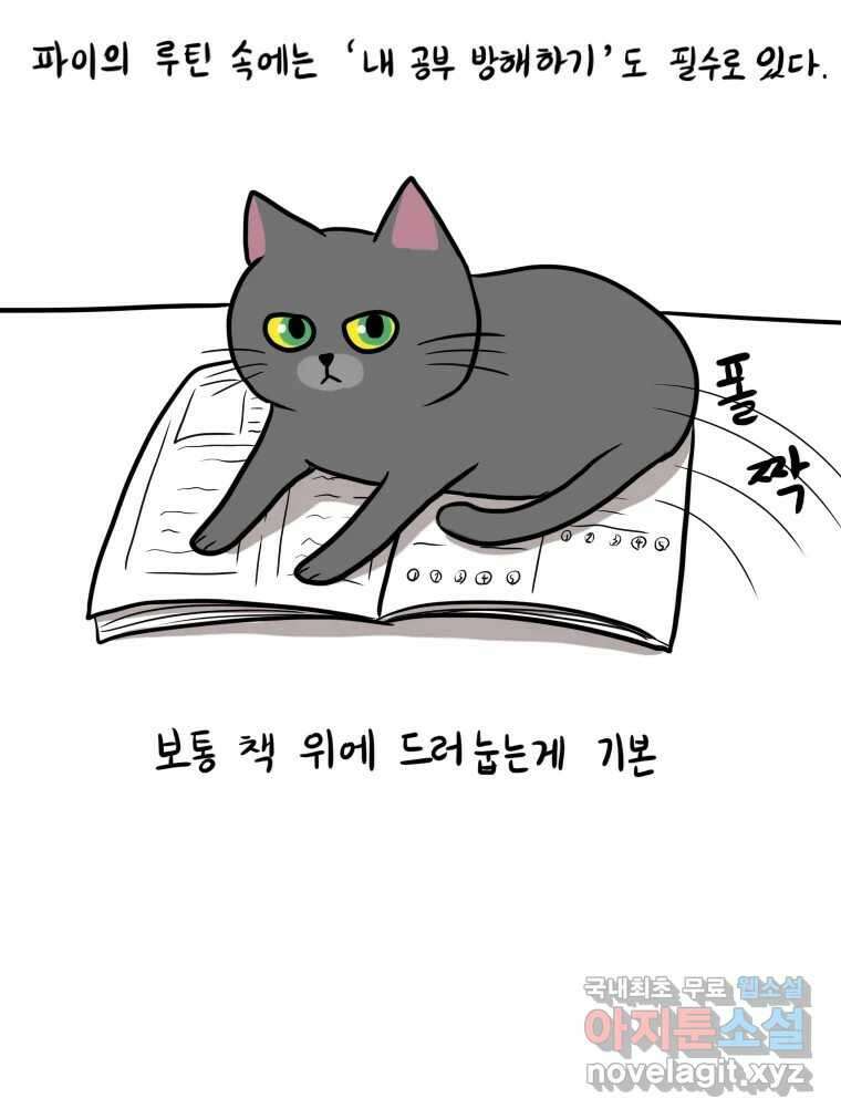 재활용 머학생 7화 공부방해 갑 고양이 23