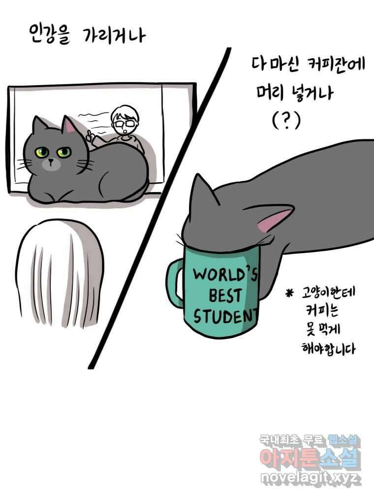 재활용 머학생 7화 공부방해 갑 고양이 28