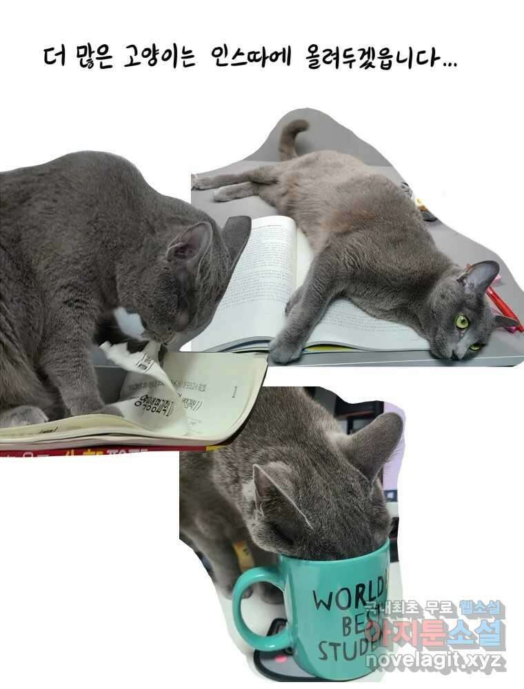 재활용 머학생 7화 공부방해 갑 고양이 40