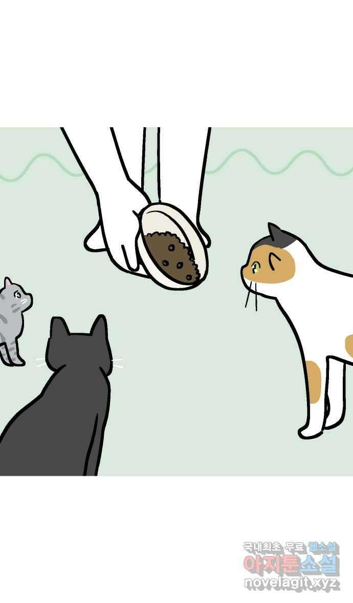 애옹식당 70화 무너지는 애옹식당(2) 42