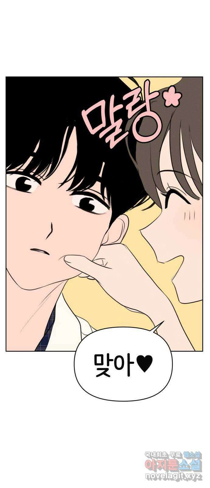 가짜 동맹 마지막화 25