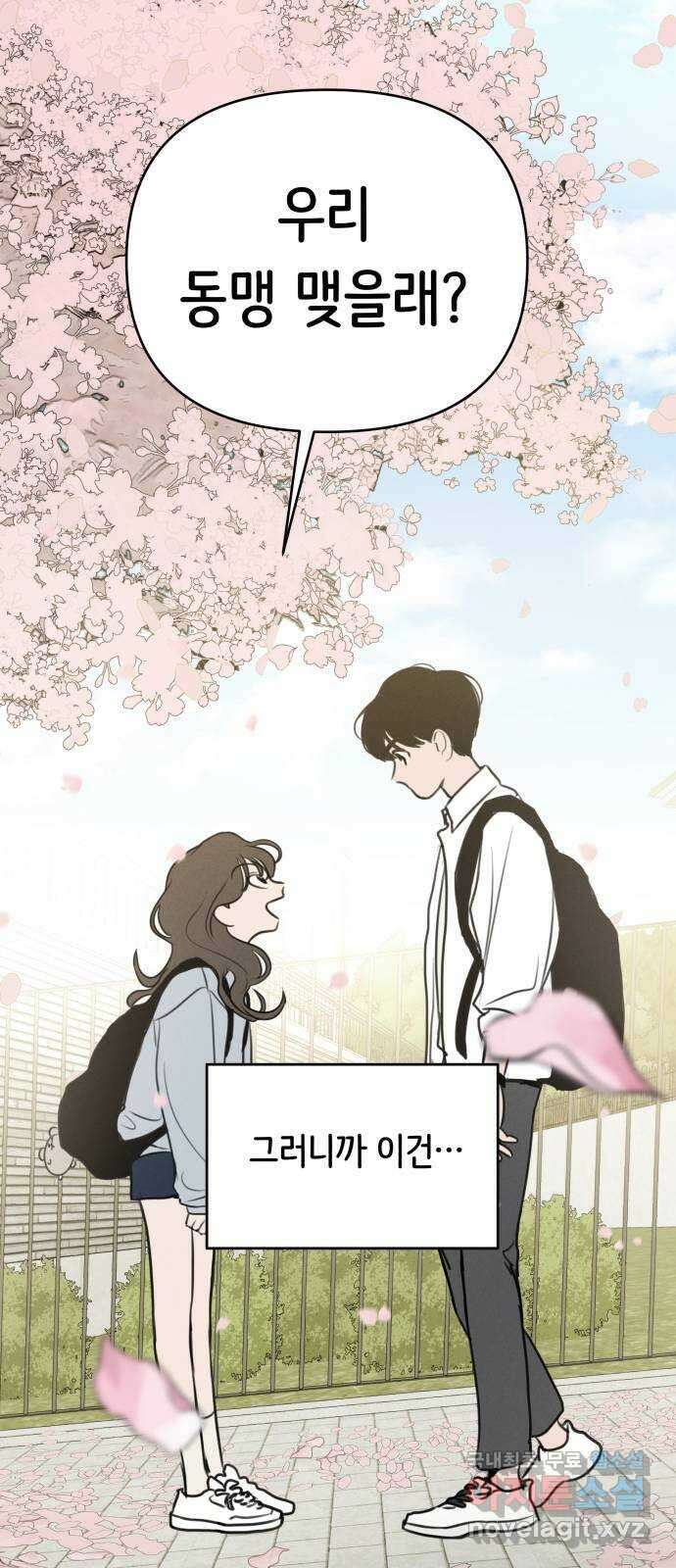 가짜 동맹 마지막화 71