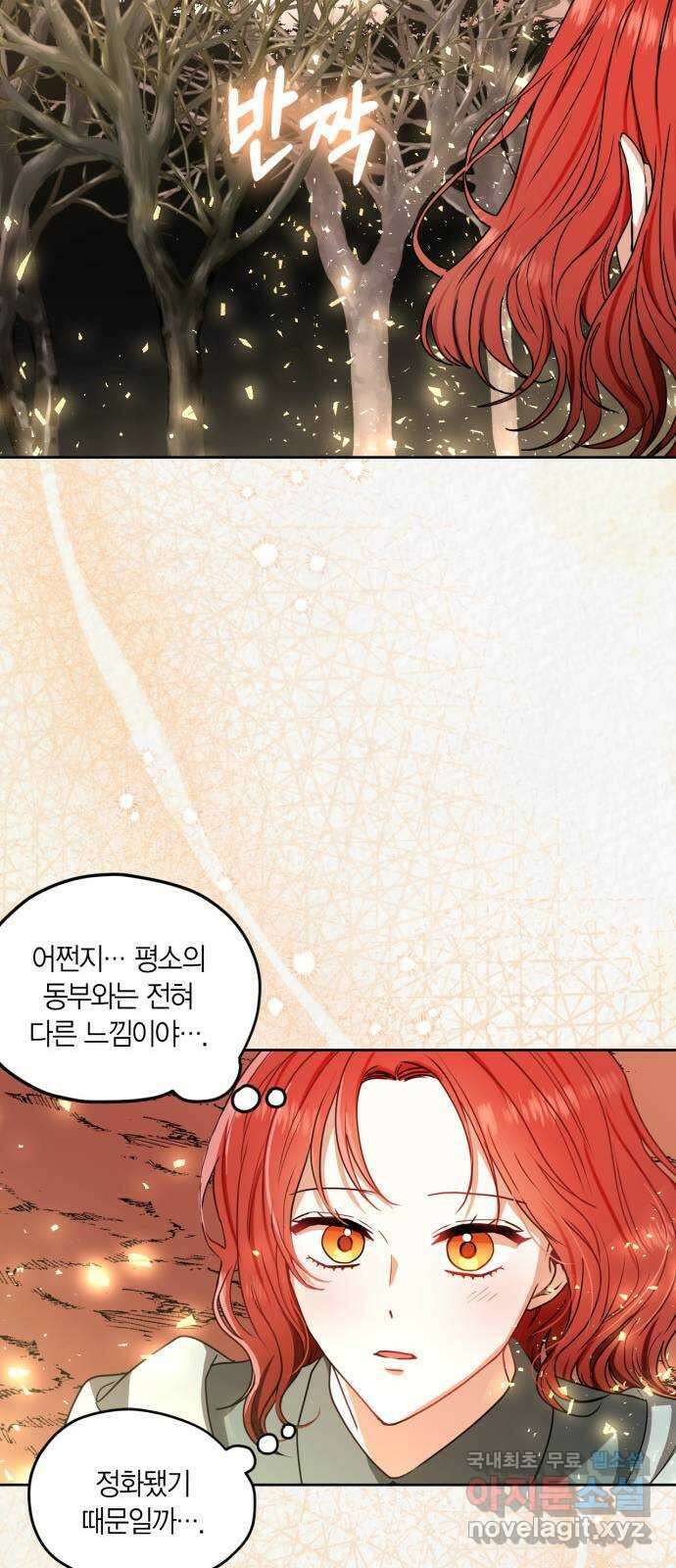 남편을 만렙으로 키우려 합니다 91화 11