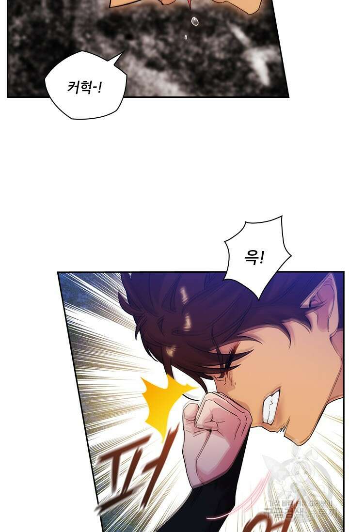 아도니스 227화 16
