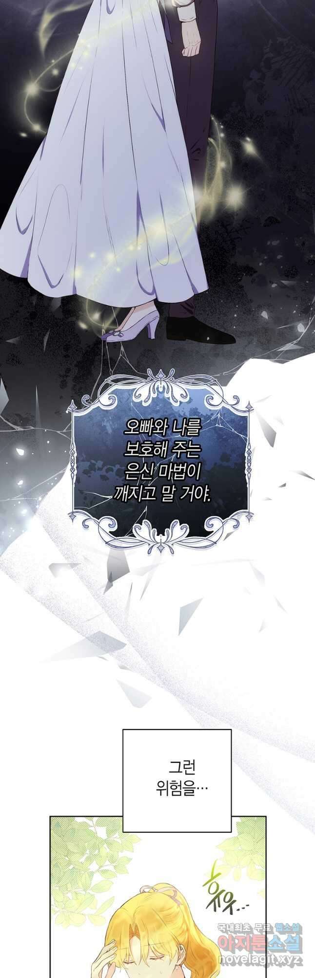 그 남자는 제 친오빠인데요, 공작님 48화 (시즌1 완결) 4