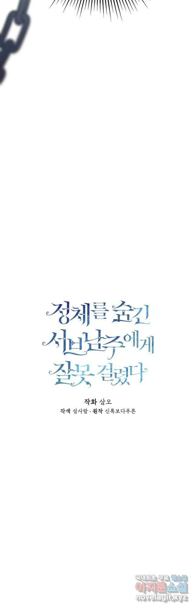 정체를 숨긴 서브남주에게 잘못 걸렸다 41화 13