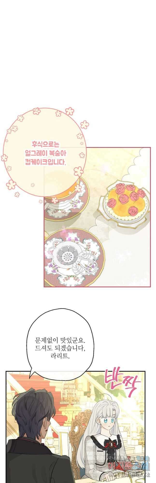 백작가의 사생아가 결혼하면 64화 10