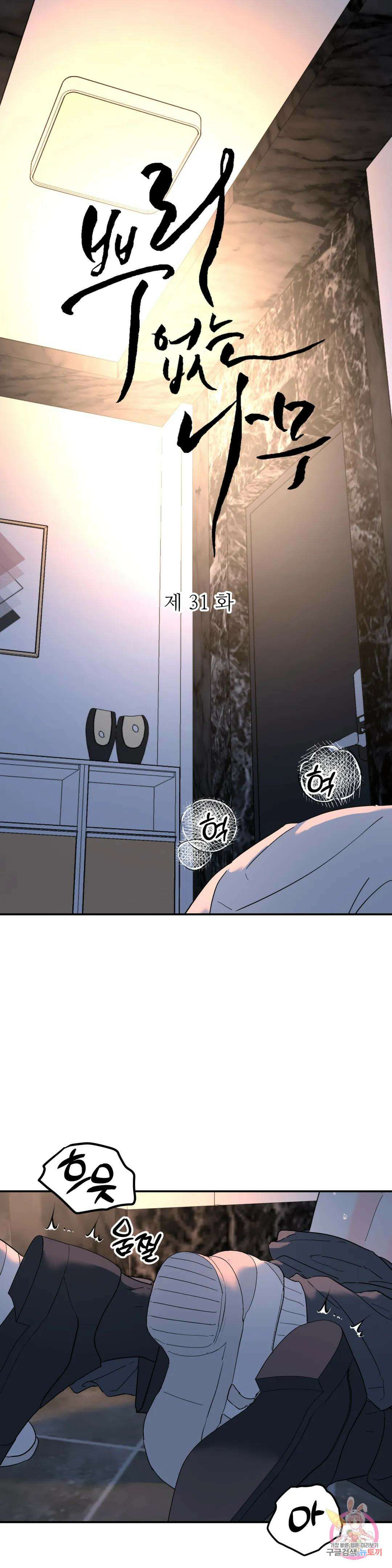 뿌리 없는 나무 31화 1