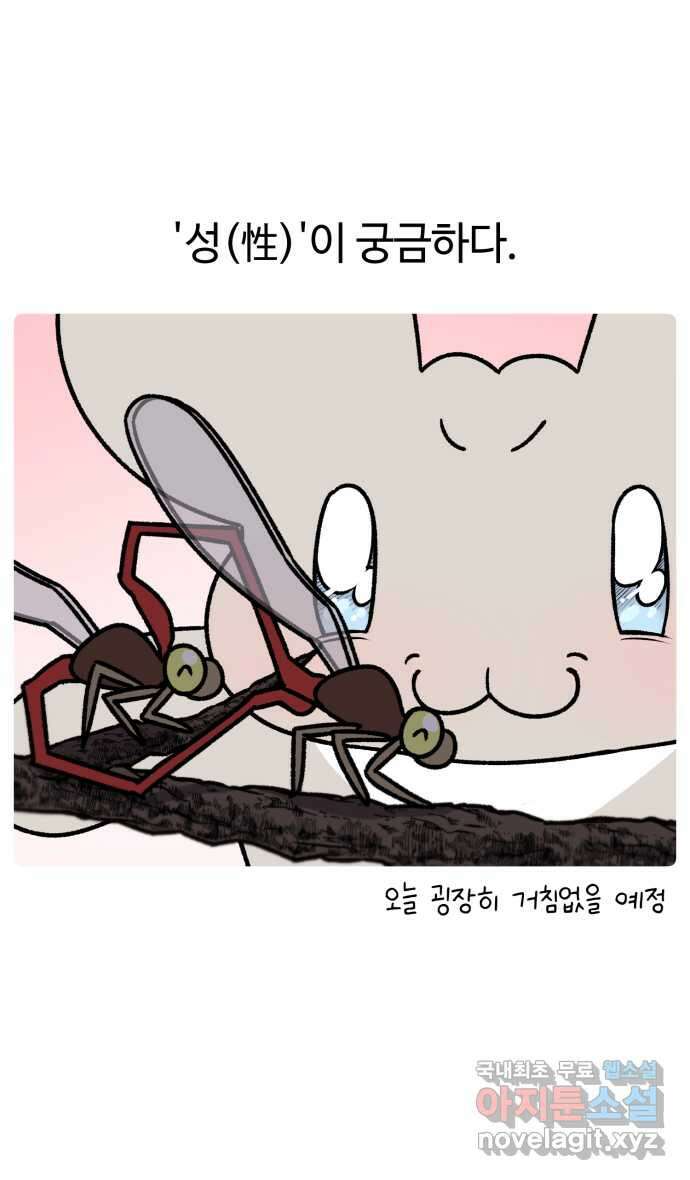 안녕, 나의 수집 79. 국어사전 2