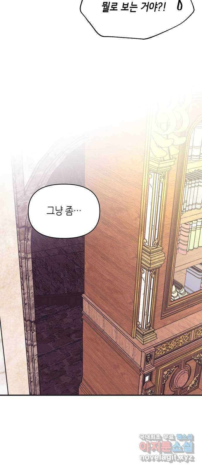 넷시의 비밀 23화 10
