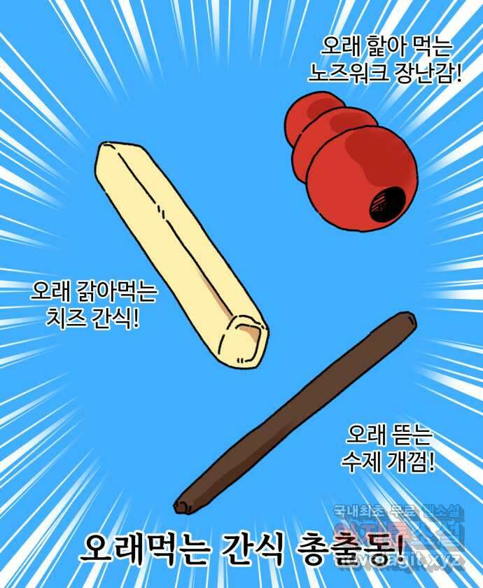강아지는 멍멍하고 짖지 않아! 6화 - 분리불안(1) 18