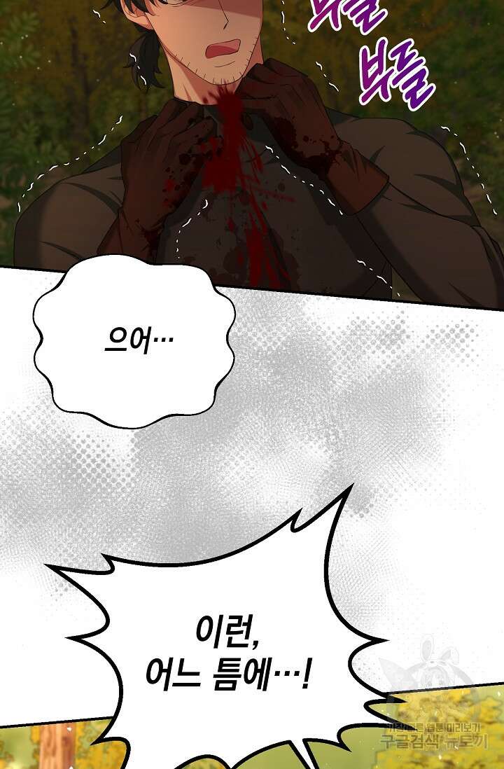 어느 왕녀를 위하여 12화 12