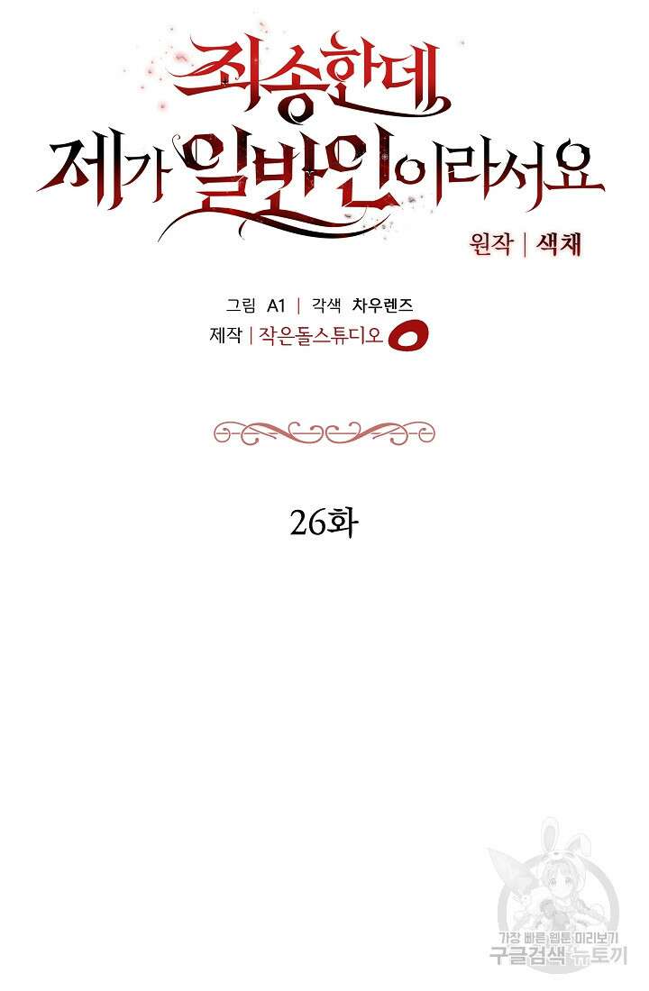 죄송한데 제가 일반인이라서요 26화 30