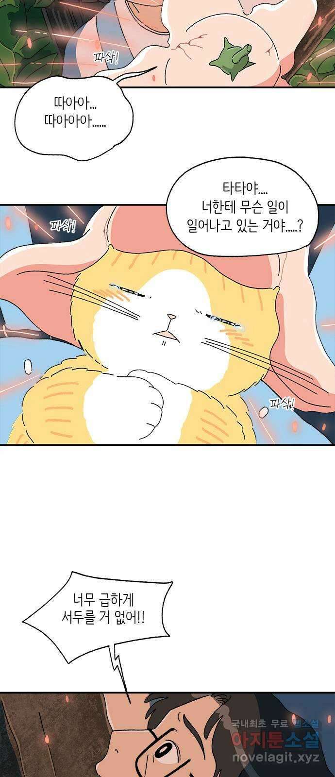 고양이 타타 29화 2
