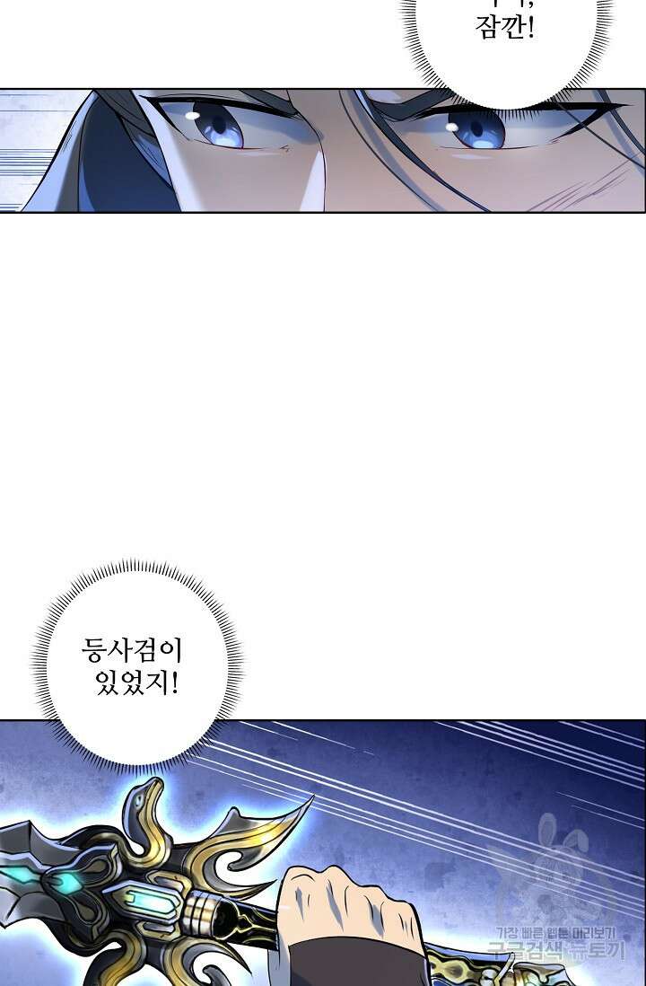 백련성신 972화 28
