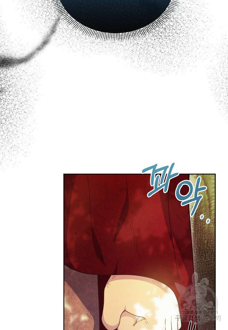 마녀의 딸이 남주의 저주를 풀면 17화 6