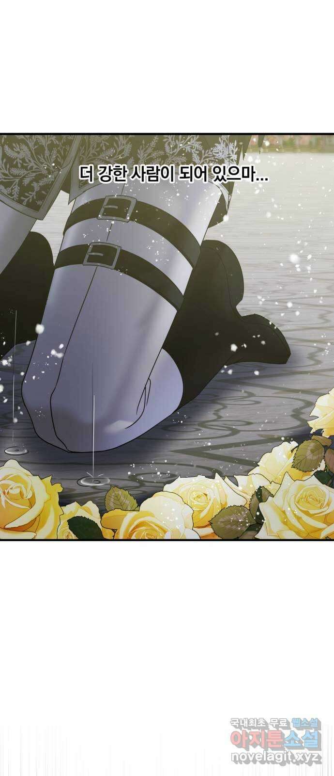 복수를 위한 결혼동맹 46화 56