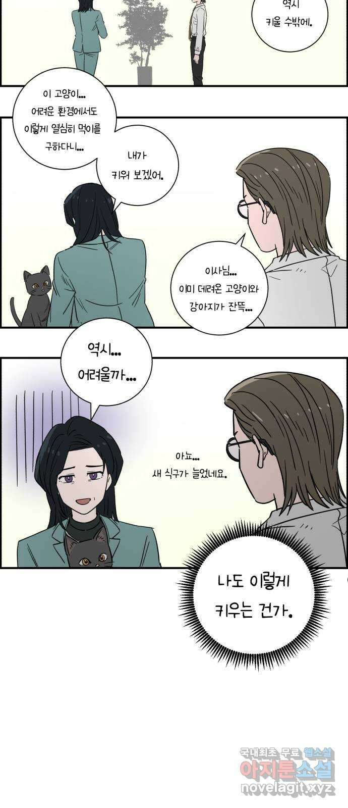 A.I. 닥터 시즌 2 후기 13