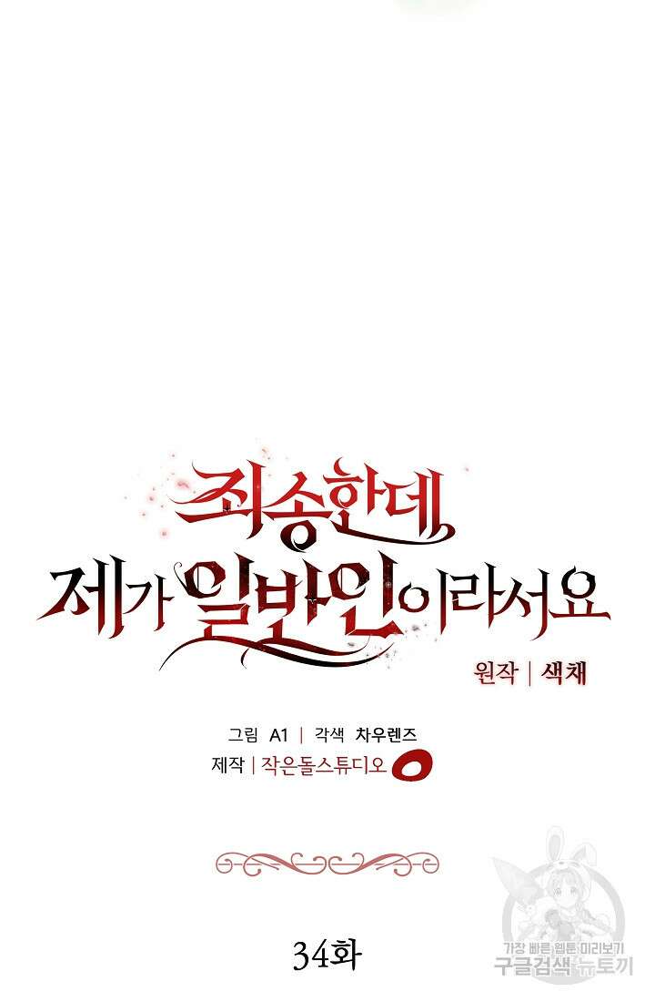 죄송한데 제가 일반인이라서요 34화 27